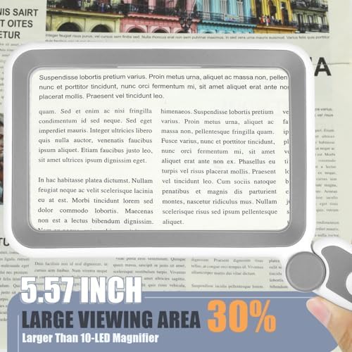 Magnifying Glass with Light, Rechargeable 5X Large Page Magnifier for Reading, Folding Handheld Dimmable, LED Lighted Rectangle Magnifier for Reading Book Small Print for Seniors Low Vision