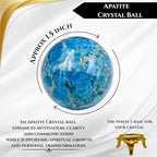 Wholesale Gem Shop Natural Apatite Quartz 40-45 mm Ball Sphere Gemstone A+ Hand Carved Crystal Altar Healing Devotional Focus Spiritual Chakra Cleansing Metaphysical Gift for Men Women