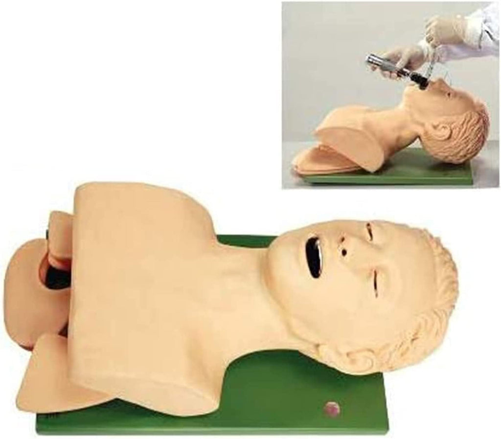 Skeleton Models PVC Oral Nasal Intubation Manikin with Tooth Alert Device Simulator Airway Management Trainer Intubation Head Teaching Teaches,Nursing Mannequin