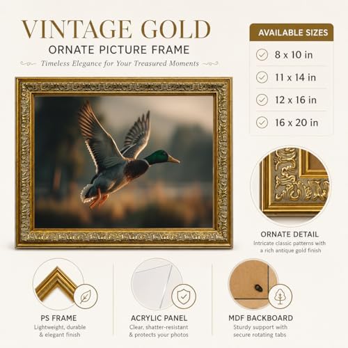 Glod Framed Flying Mallard Duck Wall Art, Warm Lake Sunset Canvas Print, Wildlife Bird Artwork for Cabin Living Room Decor 8x10 inch