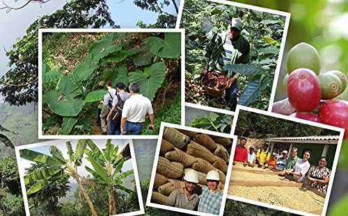 Jim’s Organic Coffee – Colombian – Single Origin, Medium Roast - Whole Bean 12 oz Bag