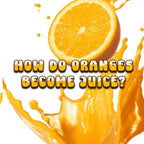 How Do Oranges Become Juice?