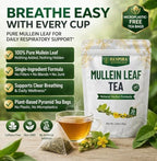 Respira Botanicals - Mullein Leaf Tea Bags for Lungs Cleanse and Respiratory Support, Plastic-Free, Plant-Based Tea Bags, Caffeine-Free, No Additives & Non-GMO, 30 Tea Bags