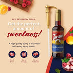 Torani Red Raspberry Syrup for Drinks, Flavoring for Iced Tea, Sodas, Cocktails, and Milk Shakes, Pump Included, 25.4 Oz