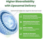 Liposomal B Complex for High Absorption Methylated B12,L-Methyfolate(5-MTHF ),Full Active B Vitamins with Choline Inositol-Energy, Metabolism,Brain & Heart Support，Vegan, Non-GMO,3 Month Supply