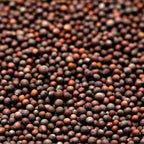 GranAroma Brown Mustard Seeds, 11.2 oz, Strong Flavor, Condiments & Sauces, Versatile Seeds