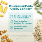 ANDREW LESSMAN Pine Bark OPC Anti-Oxidant Extracts 60 Capsules - Supports Tissues and Organ Systems to Neutralize Damaging Free-Radicals, Proanthocyanidins, Powerful Anti-oxidant, No Additives