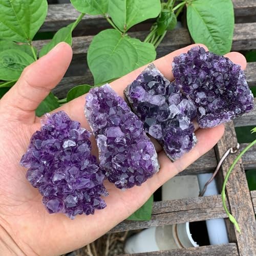 MIMOSA Amethyst Clusters 1.2LB Deep Purple Natural Raw Amethyst Rock Healing Crystal Quartz Box of Geodes 10-20 Pcs