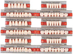 Angzhili 84 Pcs Dental Complete Acrylic Resin Denture False Teeth 3 Sets Synthetic Polymer Resin Denture Teeth 23 Shade A2 Upper + Lower Dental Materials