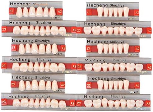 84 Pcs Dental Complete Acrylic Resin Denture False Teeth 3 Sets Synthetic Polymer Resin Denture Teeth 23 Shade A2 Upper + Lower Dental Materials