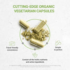 Secrets of the Tribe Cacao 120 Capsules, 1000 mg, USDA Organic Cacao (Theobroma Cacao) Dried Raw Beans (120 Capsules)