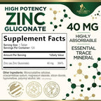 Zinc Supplement - Zinc 40mg Per Tablet - High Potency Zinc Tablets - Immune Support & Antioxidant Supplements - Best Skin Health & Immune System Support for Women & Men - Bottled in USA - 120 Tablets