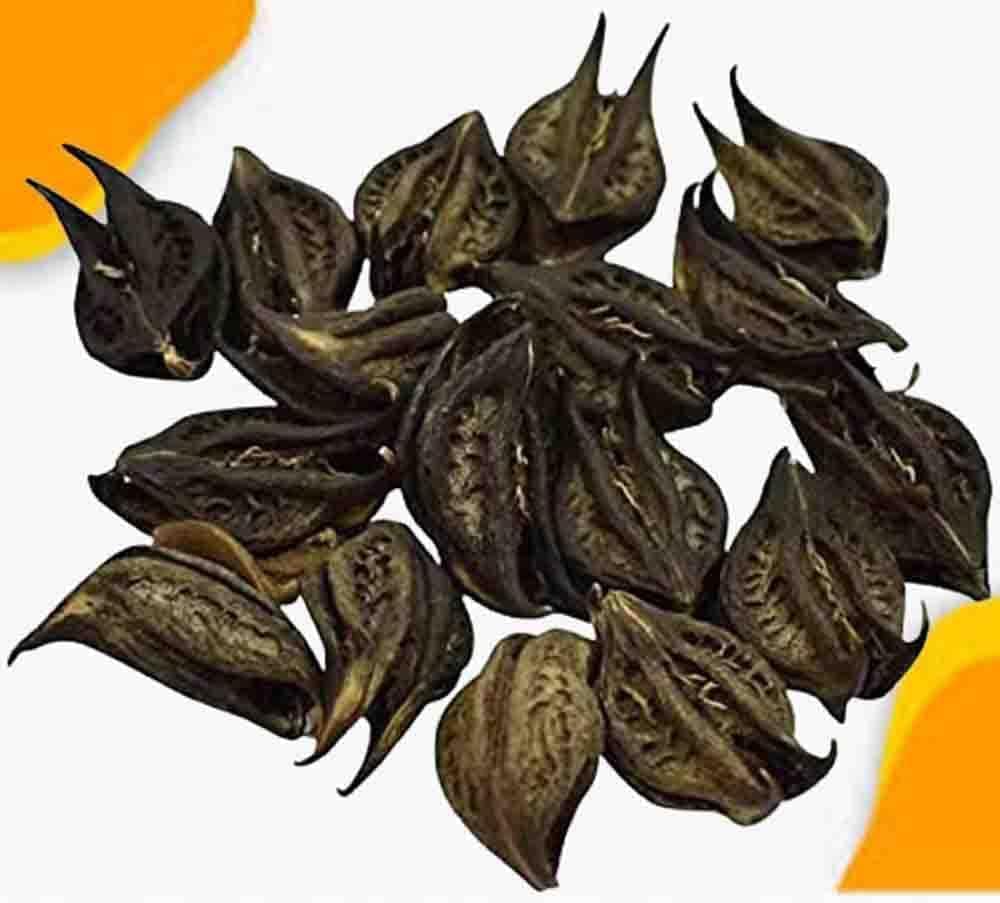 NG Bichhu Phal- Martynia Annua-Raw Herbs-Bicchu Fal-Biccho Phal-Kaknasa-Jadi Booti-Single Herbs (50 Gram)