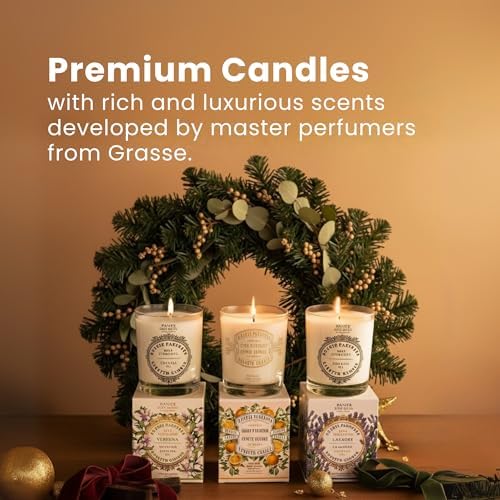 Panier des Sens Jasmine Candle - Hand-Poured in Provence, France - Long Lasting Scented Candles - up to 55 Hours Burn Time - Jasmine Scented Candle - 100% Natural Cotton Wick - 6.3 oz