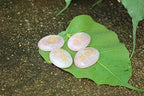 Jet Usui Reiki Healing Set Chakra Balancing Meditation Gemstone Spiritual Energized Positive (Rose Quartz)