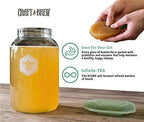 Craft A Brew - SCOBY and Starter Tea Liquid - Premium Live Culture - Fermentation and Kombucha Homebrew - Makes 1 Gallon