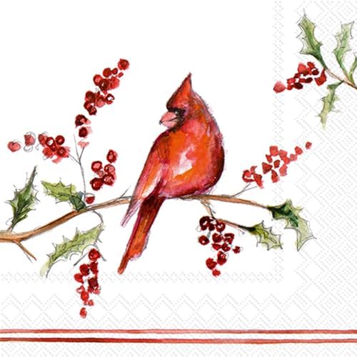 IHR Ideal Home Range Cocktail Napkins Disposable 3-Ply Paper Party Napkin Pack, 5" x 5", Christmas Cardinal, 20-Count