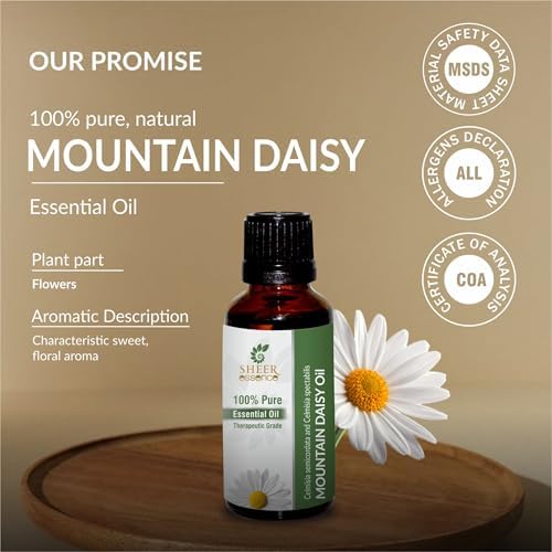 Mountain Daisy Oil -(Celmisia Semicordata & Celmisia Spectabilis)- Essential Oil 100% Pure Natural Undiluted Uncut Therapeutic Grade Oil 0.16 Fl.OZ