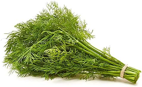 Herb Dill Organic, 1 Bunch