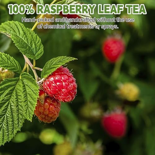 Raspberry Leaf Teabags–120 Tea Bags (2g/Bag), Made from 100% Natural Raspberry Leaves | Herbal Wellness & Antioxidant Support | Caffeine-Free | Sugar-Free | Gluten-Free | Vegan | Individually Wrapped Eco-Friendly Tea Bags