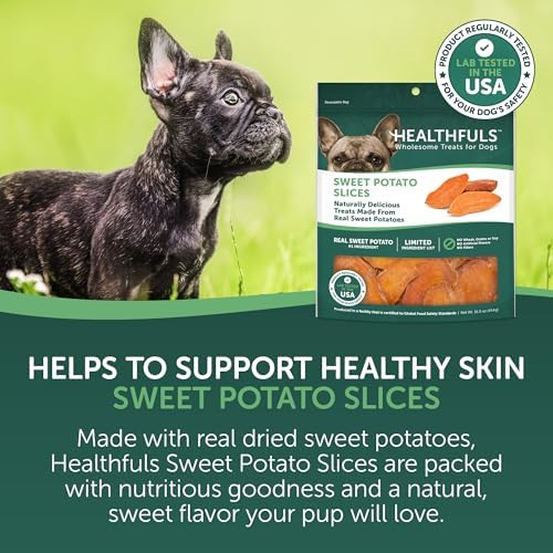 Healthfuls Sweet Potato Slices Healthy Dog Treats – Limited Ingredient, Grain Free, Made from Real Dried Sweet Potatoes, 16 oz