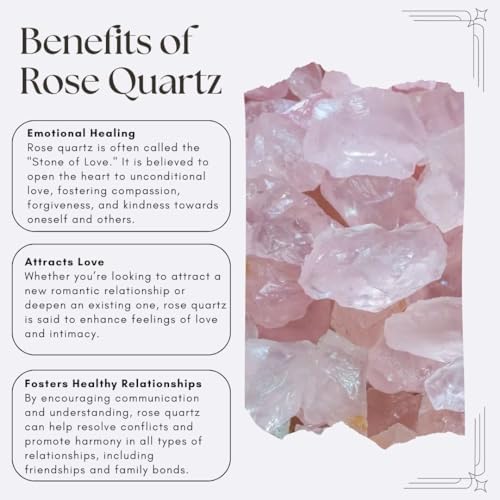 SAOI Crystal Water Bottle - Rose Quartz Gemstone Infused Elixir - Natural Wellness Healing - Glass/Stainless Steel