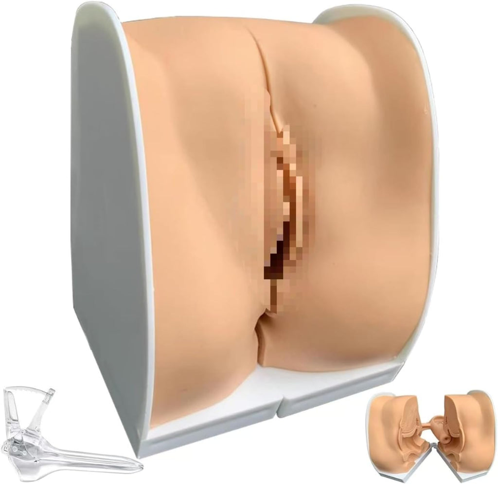 DRXRD IUD Training Model Female Gynecological Manikin Model Female Genitals Anatomy Model with Accurate Anatomy Structure Suitable for Intuitive Teaching & Practical Operation
