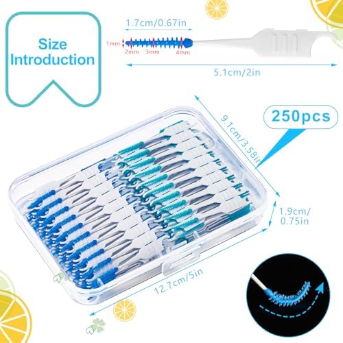 250 Pieces Dental Floss Picks, Silicone Interdental Brushes with Case Dental Brushes Dental Picks Blue Tooth Floss Picks for Teeth Cleaning(Blue,Green)