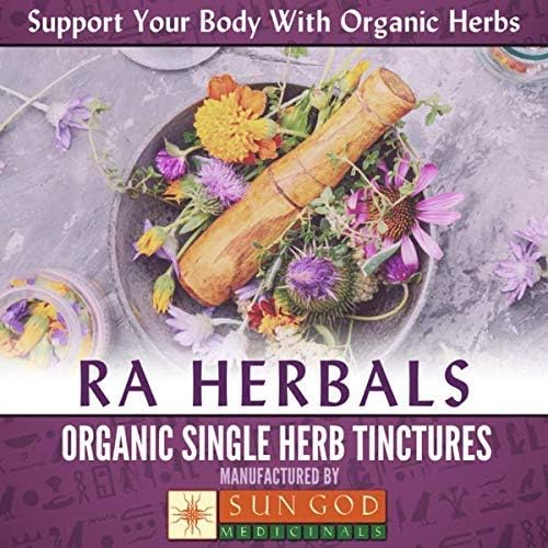 RA Herbals Certified Organic Fresh Nettle Leaf Tincture | Natural Herbal Extract for Wellness | Nourishing and Refreshing Blend | 1 oz