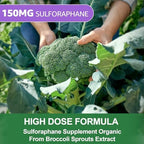 150mg Liposomal Sulforaphane Supplement from Broccoli Sprouts Extract - Sulforaphane with Myrosinase, Vitamin C, E | Broccoli Sprout Supplement for Antioxidant, Detox & Cellular Health | 60 Counts