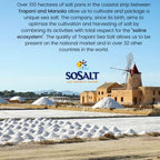 SOSALT DAL MARE DI TRAPANI Fine Sea Salt from Sicily, Foodservice Bulk Bag, (10kg) 22 lb, All Natural, Mediterranean Sea Salt Bulk, Kosher