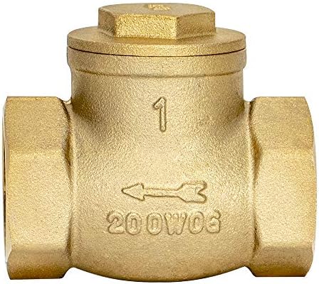 Eastman Brass Swing Check Valve, 1 Inch IPS, Brass Plumbing Fitting, 20425LF