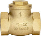 Eastman Brass Swing Check Valve, 1 Inch IPS, Brass Plumbing Fitting, 20425LF