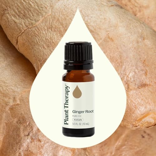 Plant Therapy Ginger Root CO2 Essential Oil 100% Pure, Undiluted, Natural Aromatherapy, Ginger Oil for Diffuser, Skin & Massage and Hair, Therapeutic Grade 10 mL (1/3 oz)