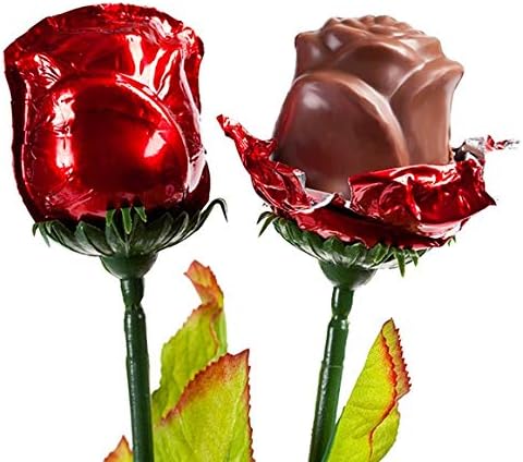 One Dozen Christmas Red Chocolate Roses Bouquet Gift of Long Stem 19-inch with Personalized Card