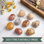 Polished Crazy Lace Agate Healing Crystal Stone – 1 Pc 1.2" Worry Stone for Anxiety, Pocket Palm Gemstone, Super Large Handpicked Natural Tumbled Rock for Meditation, Reiki, Chakra, Home Decor