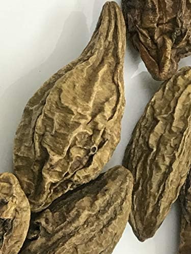 HARAD (Haritaki) Whole / Terminalia chebula / INDIAN AYURVEDA Herbs (20)