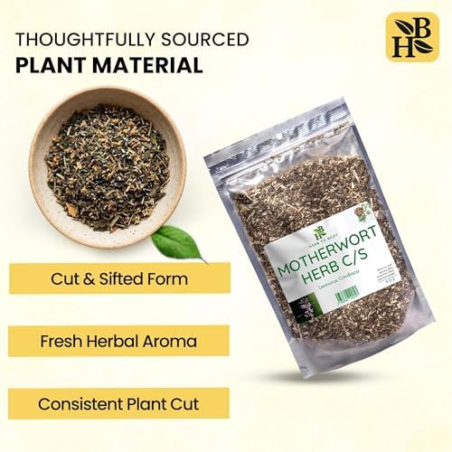 Herb To Body Motherwort Herb Cut & Sifted – 4 oz, Wildcrafted Leonurus Cardiaca for Herbal Tea, Motherwort Tincture, and Natural Wellness Uses