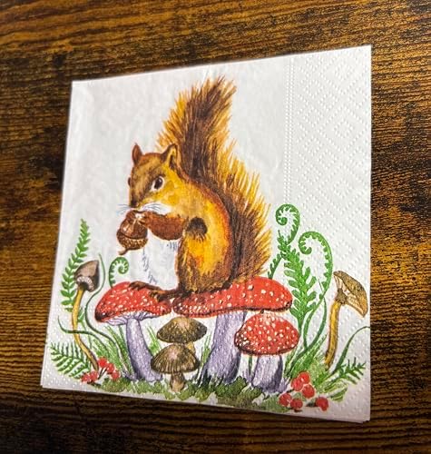 IHR Ideal Home Range Cocktail Napkins Disposable 3-Ply Paper Party Napkin Pack, 5" x 5", Squirrel and Mushrooms, 20-Count