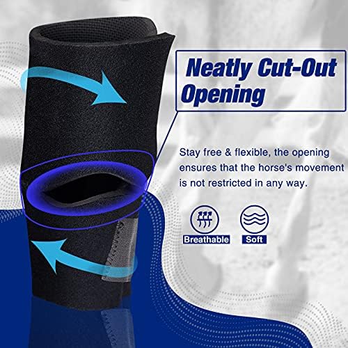Harrison Howard Equine Knee Boot Superb Protection Non-Slip Interior Surface Cut-Out Opening for Horse