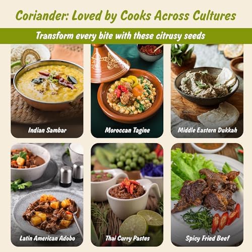Spice Profile USDA Organic Coriander Seeds, Lab Tested for Heavy Metals, Resealable 4oz Pouch, Dhaniya, Semillas de Cilantro
