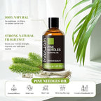 MAYJAM Pine Needles Essential Oil - 1.01 Fl.oz - Premium Grade Essential Oils for Home Diffusers Skin Care - Pine Needles Oil for Soap Candle Making Scent