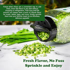 NPG Freeze-Dried Chives 2 Oz, Dehydrated Chopped Chives, Mild Onion Herb for Cooking, Soup, Ramen, Stir Fry & Garnish, Non-GMO, Gluten-Free Seasoning, Long Shelf Life