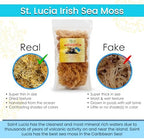 Golden Irish Sea Moss | Wildcrafted from St. Lucia | 16oz Makes ~240+ oz Sea Moss Gel | 100% Natural, Raw & Sun-Dried | Dr. Sebi Inspired, Nutrient-Rich Irish Moss for Health & Wellness