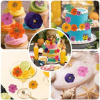 60 PCS Real Edible Flower Tropical Cupcakes Cake Decoration, Hibiscus Flowers Turtle Back Leaves Cartoon Birthday Cake Toppers -Hawaiian Series Theme Wedding, Party, Cocktails