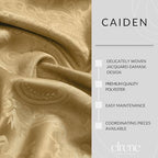 Elrene Home Fashions Caiden Elegance Damask Fabric Napkins (Set of 4), 17" x 17", Gold