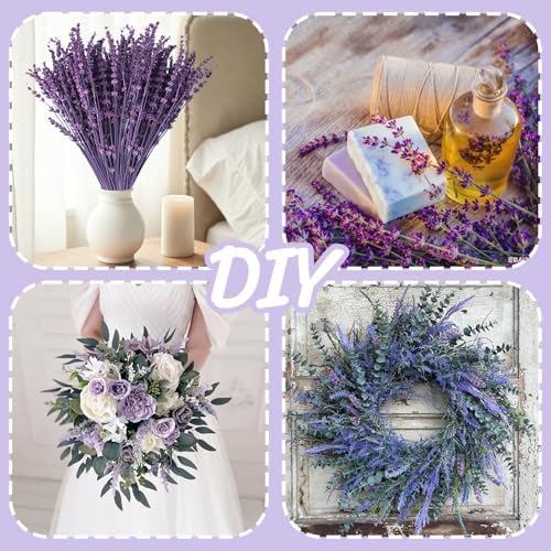 Dried Lavender Flower Bundle for Vase Decor –15''-17'' 2oz(56g) Preserved Lavender Sprigs Purple Flower Bouquet Floral for Wedding Table Home Decor DIY Craft, Dry Plant, Fragrance
