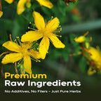 FullChea - St. John's Wort Tea, 50 Teabags - Premium Dried St Johns Wort Herb - Non-GMO - Natural Caffeine-Free Herbal Tea - Your Ideal Relaxation Break