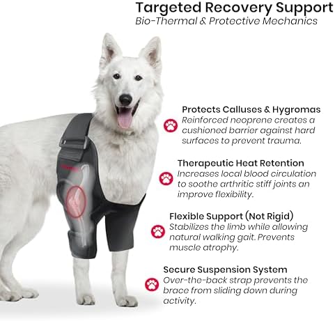 Dog Elbow Protector for Calluses & Arthritis Brace. Hygroma Elbow Pads for Dogs & Dog Elbow Brace Front Leg Support. Dog Shoulder Brace, Dog Leg Brace Front & Dog Elbow Callus Protector - M