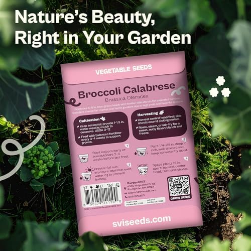 SVI 800 Calabrese Broccoli Seeds for Sprouting (Brassica oleracea VAR. capitata) - Green Broccoli Sprouts Seed Packets - Non-GMO Heirloom Vegetable Seeds for Planting Outdoors & Indoors Garden
